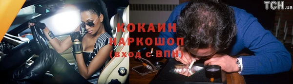 стаф Медногорск