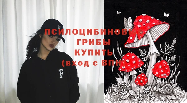 эйфоретик Алексеевка