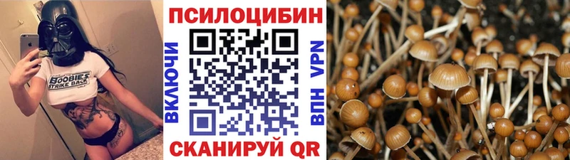 darknet формула  Симферополь  Псилоцибиновые грибы ЛСД 
